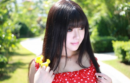 ［站长工具］站长优化分析工具有哪些？站长分析工具怎么用?